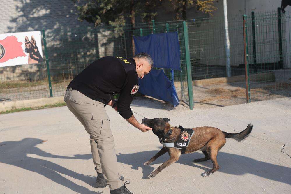 Konya’daki hassas burunların oyunu zehir tacirlerini yakıyor 9